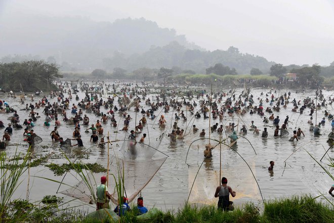 Na jezeru Goroimari v indijskem Panbariju vasčani sodelujejo v množicnem ribolovskem dogodku med praznovanjem praznika žetve Bhogali Bihu. FOTO: Biju Boro / Afp