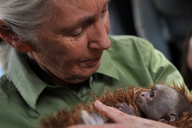 FOTO: Afp/Hector Retamal 