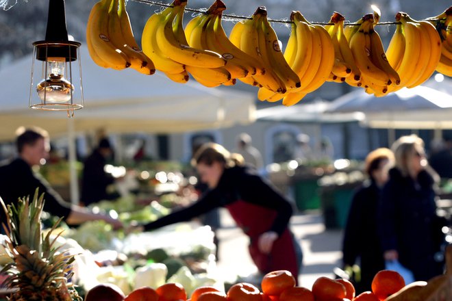 Ta čudoviti in vsestransko uporaben in tako pogosto omenjan in opevan rumen sadež je sicer v resnici prva <em>superhrana</em>, o kateri smo kadarkoli govorili. FOTO: Roman Šipič/Delo