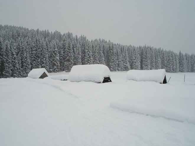 Planina Javornik je najlepša poleti, še lepša pa pozimi. FOTO: Miroslav Cvjetičanin