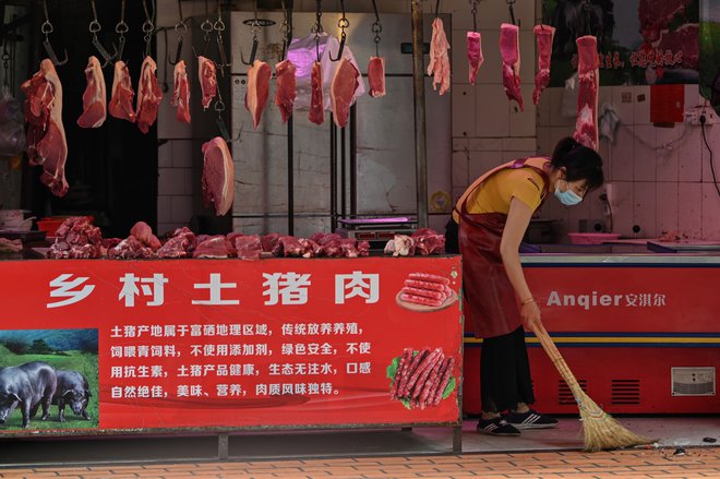 Znanstveniki Svetovne zdravstvene organizacije (WHO) so ta teden prispeli v Wuhan. FOTO: Hector Retamal/AFP