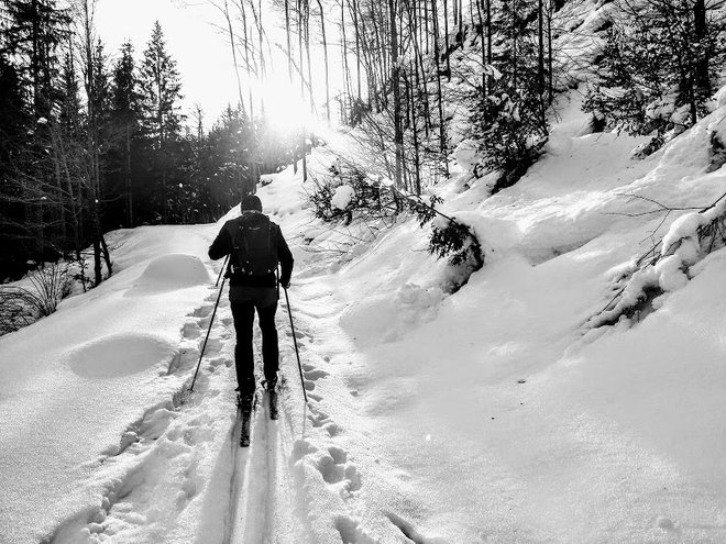 Na poti od Kupljenika do Selške planine. FOTO: Miroslav Cvjetičanin