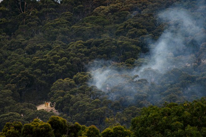 Letos se požari že pojavljajo v okolici prestolnice Južne Avstralije Adelaide. FOTO: Stringer/Reuters