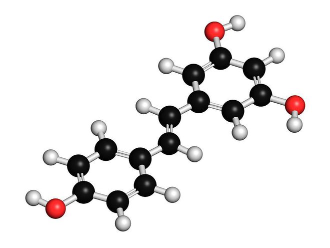 Čisti resveratrol je ena najobetavnejših naravnih spojin. FOTO: Getty Images