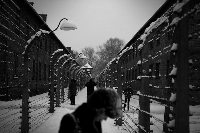 Ob obletnici osvoboditve taborišča Auschwitz. FOTO: Voranc Vogel/delo