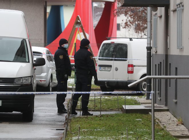 Policisti so po dejanju osumljenca kmalu izsledili ter mu odvzeli prostost.&nbsp;FOTO: Dejan Javornik/Slovenske novice&nbsp;