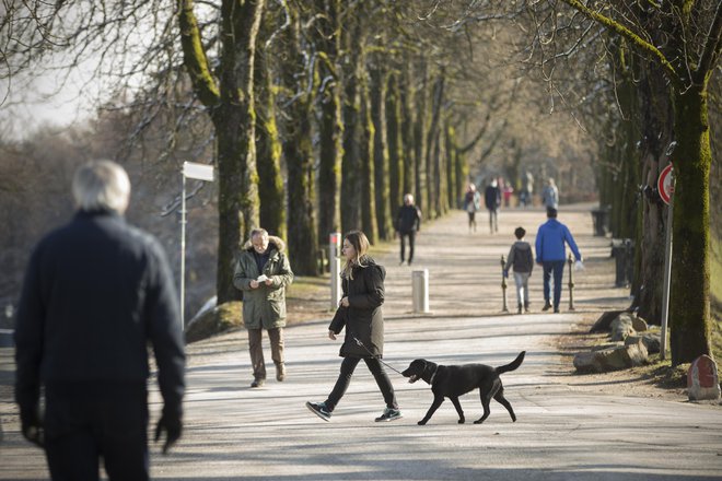 Kot vse druge vzpetine v mestu so tudi grajski grič meščani izrabili za rekreacijo. FOTO: Jure Eržen/Delo