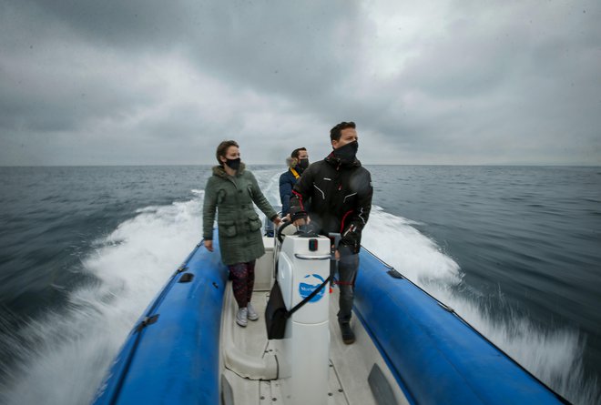 V društvu Morigenos so izredno hvaležni vsem, ki jih v teh dneh redno obveščajo o opažanjih delfinov. FOTO: Matej Družnik/Delo