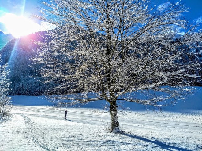 Poskusimo opaziti, kdaj prevzame nadzor nad našim razpoloženjem. FOTO: Miroslav Cvjetičanin