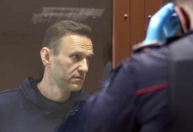Aleksej Navalni je bil na sodišču v Moskvi tudi danes, tokrat zaradi obtožb, da je obrekoval vojnega veterana. FOTO: Sodišče okraja Babuškinski/Reuters