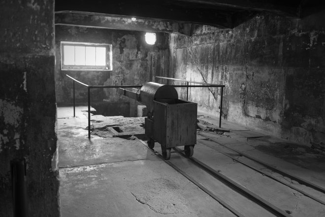 Krematorij v taborišču smrti Auschwitz. FOTO: Voranc Vogel/Delo&nbsp;