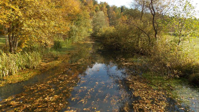 Lahinja pred okljukom v Pustem Gradcu FOTO: Drago Medved