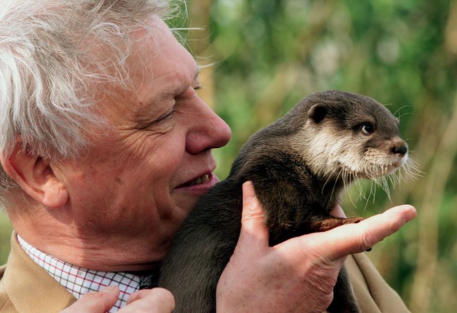 Sir David Attenborough je odgovarjal na vprašanja kraljevih otrok. FOTO: Reuters&nbsp;