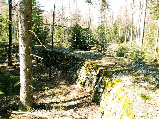 Ostanki gozdne ozkotirne železnice v Kočevju FOTO: Wkp