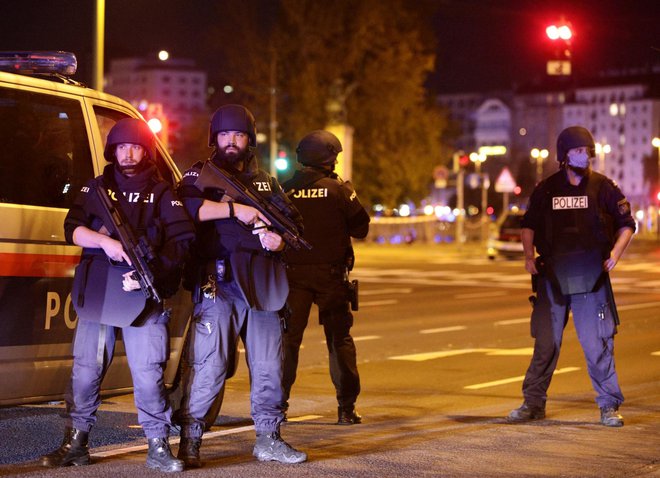 V zvezi z napadom na Dunaju so aretirali 14 ljudi, ni pa dokazov o drugem napadalcu. FOTO: Lisi Niesner, Reuters