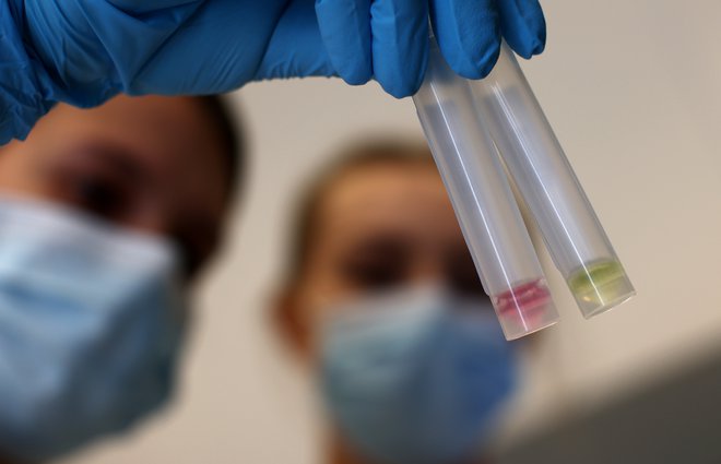 Laboratoriji delajo dan in noč, da preverjajo PCR-teste. FOTO: Lisi Niesner, Reuters