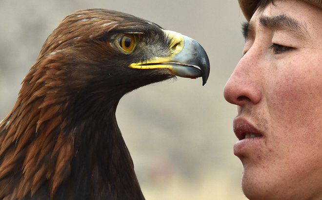 Portret kirgizistanskega lovca in njegovega zlatega orla. FOTO: Vyacheslav Oseledko/Afp