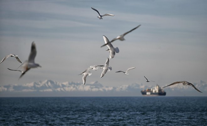 V nasprotju s pričakovanji predlog dokumenta tudi ne določa lokacije umetnega otoka v slovenskem morju, za kar si že dlje časa prizadeva izolska občina. FOTO: Blaž Samec