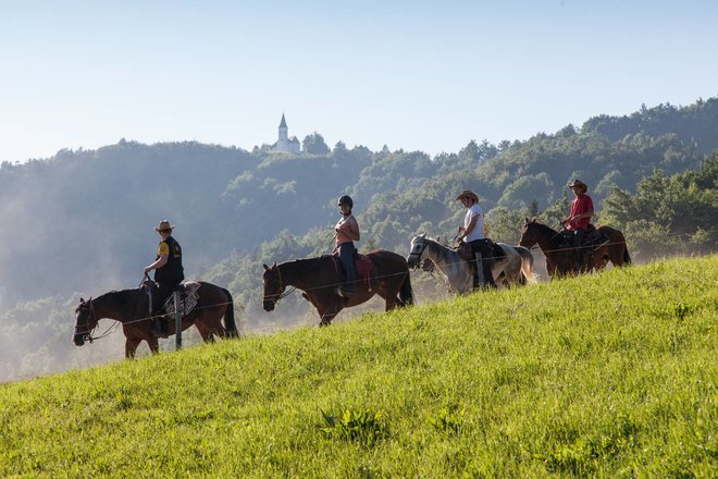 V Posavju so uredili Ajdovsko in Krekovo jahalno pot in pot z imenom Galop črnega vranca. FOTO: Ljubo Motore