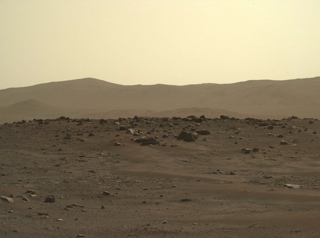 Rover se ozira naokoli z razlogom, saj znanstveniki iščejo lokacije, kamor bodo napotili robotskega raziskovalca. FOTO: NASA/JPL-Caltech/ASU