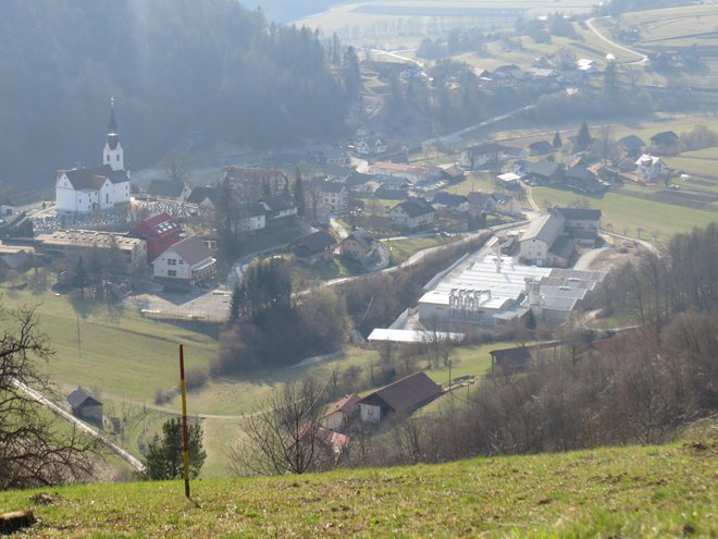 V okoljskem združenju Rovo so prepričani, da kogeneracija ne spada v urbano okolje Gabrovke. FOTO: Bojan Rajšek/Delo