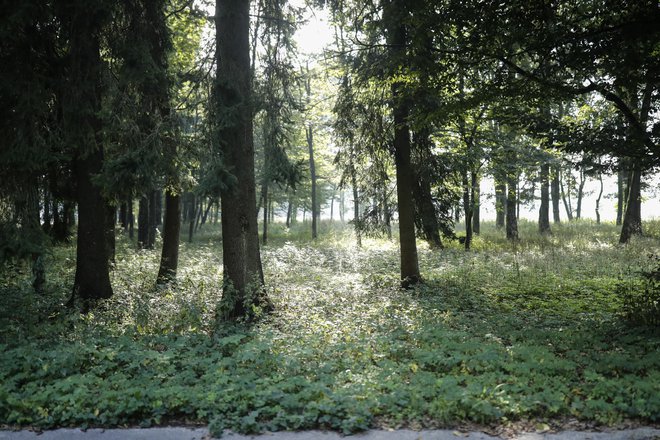 Vodovarstvena območja, ki nam danes varujejo vodo na naših pipah, so zato prva območja, kjer moramo preprečiti vnos nevarnih in omejiti vnos vseh drugih snovi. Foto Uroš Hočevar/Delo