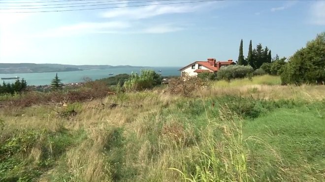 Zemljišče v Kolombanu ponuja lepe razglede, a se je na občinski dražbi zanj ponudil le en kupec. FOTO: Pop TV