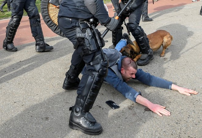 Na protestu proti omejitvam koronavirusa v Haagu je policija za aretacije uporabila tudi pse. Na fotografiji pes vidno grize protestnika, ki ga je želela policija vkleniti in aretirati. FOTO: Piroschka Van De Wouw/Reuters