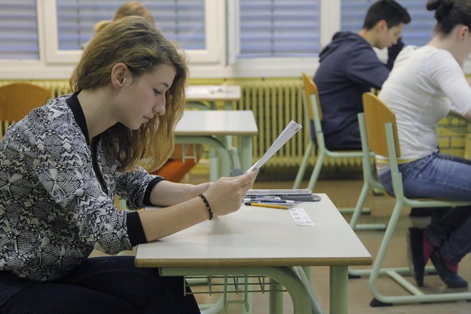 Ta teden šestošolci in devetošolci pišejo e-test, ki ne preverja znanja, a le sistem. Klasično nacionalno preverjanje znanja bo v začetku maja. FOTO: Leon Vidic/Delo