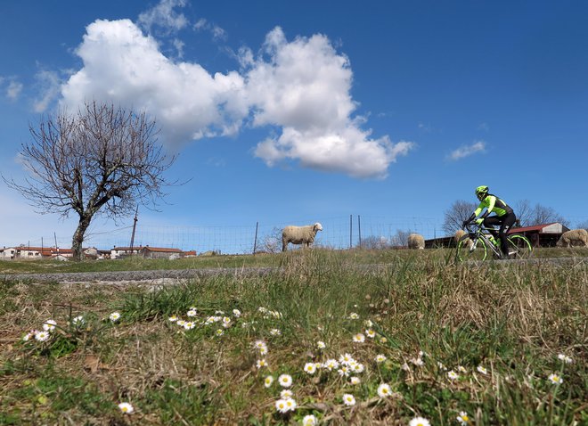 FOTO: Dejan Javornik