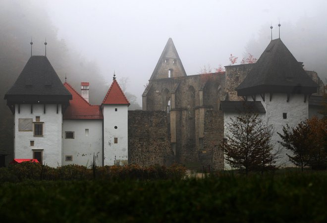 Žičko kartuzijo bi morali zastrešiti z lesenim dvokapnim ostrešjem, pokritim s škriljem, da bi zaščitili ohranjeno stavbno substanco, a je predvidena izvedba samo polovice strehe s strešino na južni strani. Foto Tadej Regent