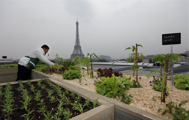 FOTO: Philippe Wojazer/Reuters