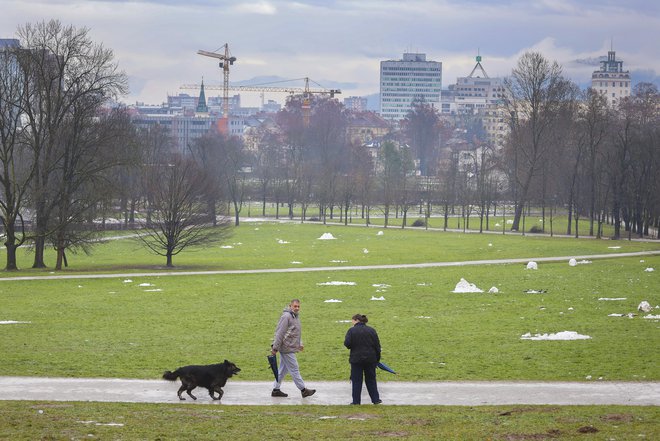 Naš mestni park je veliko bolj poln divjega življenja, kot si predstavljamo.<br />
FOTO: Jože Suhadolnik