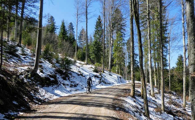 Makadamkanje nas je zasvojilo. FOTO: Miroslav Cvjetičanin