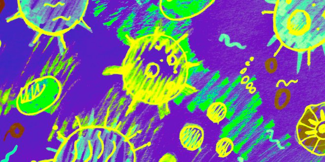 Limfociti T z naravnimi T-celičnimi receptorji (TCR) prepoznavajo antigene in nas tako varujejo pred virusnimi in drugimi okužbami. FOTO: Shutterstock