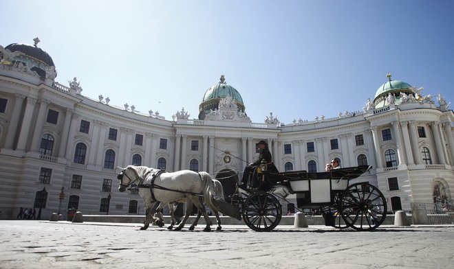 Zimsko palačo so gradili oziroma dograjevali več kot 600 let. Najstarejši ohranjeni zapisi o dvorcu Hofburg so iz 13. stoletja. Najnovejši trakt je bil zgrajen v začetku 20. stoletja, nekaj let pred prvo svetovno vojno. FOTO: Reuters