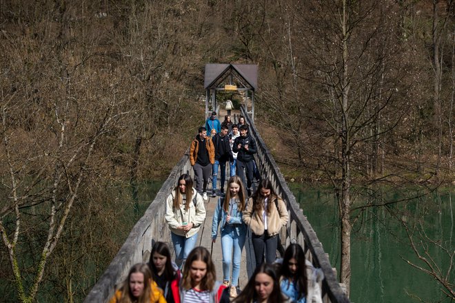 Kakšen je načrt, da se letošnji maturanti ne bodo pridružili izgubljeni generaciji? FOTO: Voranc Vogel/Delo