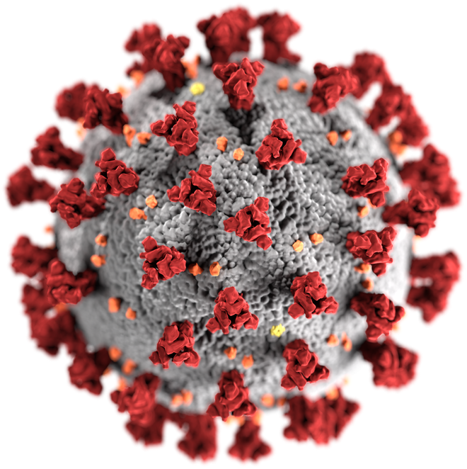 Vrednosti protiteles proti sars-cov-2 je težko razlagati, pravijo strokovnjaki.<br />
Foto Wikipedija