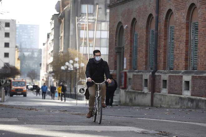 Raziskava poteka kot spletna panelna anketna raziskava enkrat na dva tedna v dvanajstih ponovitvah. FOTO: Leon Vidic/Delo