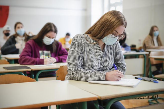 Dijaki se še ne bodo samotestirali. FOTO: Uroš Hočevar/Delo