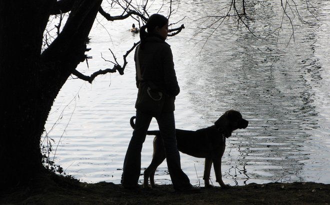 Večina lastnikov je do svojih živali zelo skrbna, še več, nekateri celo pretiravajo in obiščejo veterinarja ob vsaki malenkosti. FOTO: Blaž Samec 