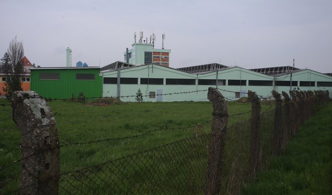 Ko je Albaughov predhodnik Pinus ugašal, bi ga morali po zakonu ugasniti, pravijo v Rovu. FOTO: Tadej Regent/Delo