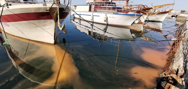 Oranžnordeče lise v morju niso posledica onesnaženja, pač pa pomladnega bohotenja zooplanktona &ndash; morske iskrnice <em>(Noctiluca scintillans)</em>. Veliko bolj v skrbeh so ribiči zaradi velikih morskih klobučnjakov. FOTO: Boris Šuligoj/Delo