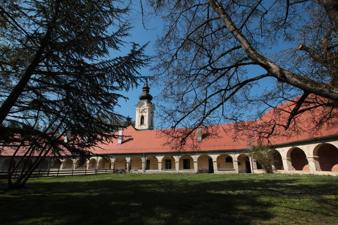 Grad pri Gradu na Goričkem je največji in eden najzanimivejših grajskih kompleksov pri nas. FOTO: Jože Pojbič/Delo