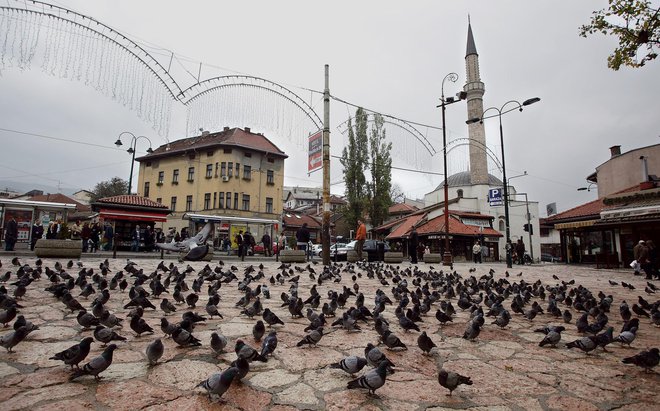 FOTO: Jože Suhadolnik/Delo