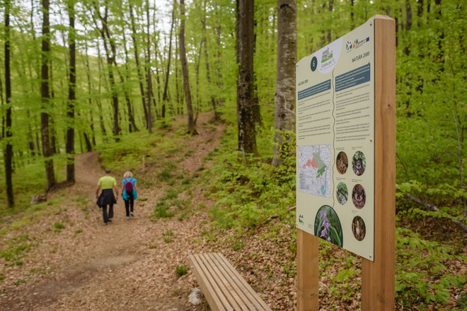 Grajska pot Podsreda je lahka učna pot, ki se konča pri gradu Podsreda, kjer domujejo netopirji. FOTO: Mojca Valenčak/Kozjanski park