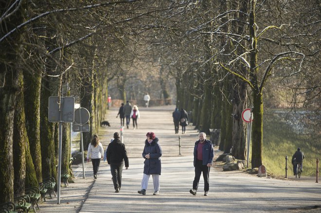 Starejši od 70 let lahko v koži sintetizirajo le 25 odstotkov vitamina D v primerjavi z mlajšimi, zato morajo biti dlje časa na soncu, da ga sintetizirajo dovolj. FOTO: Jure Eržen/Delo