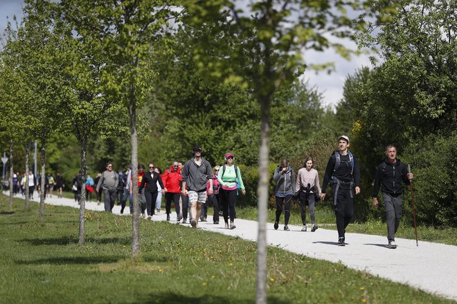 Podatka o številu pohodnikov prireditelji iz Timinga Ljubljana nimajo, aplikacijo jih je konec tedna uporabilo okoli 1750, vendar to še zdaleč ne odraža števila udeležencev, saj mnogi sploh ne beležijo kontrolnih točk, nekateri pa so zbirali žige. FOTO: Leon Vidic/Delo