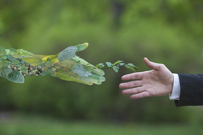 Z energetskimi rešitvami za industrijo se ukvarjajo tudi v Petrolu, kjer s partnerji razvijajo celovite rešitve za učinkovito rabo energije. FOTO: Getty Images