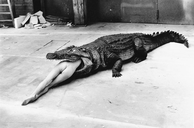 Krokodil, Wuppertal, 1983 &copy; Foto Helmut Newton, Helmut Newton Estate/Courtesy Helmut Newton Foundation